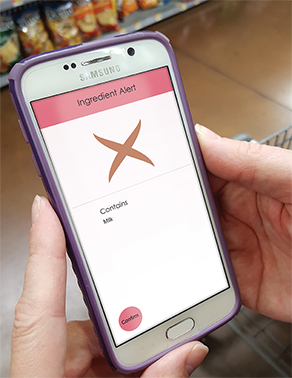 Mockup of app in use